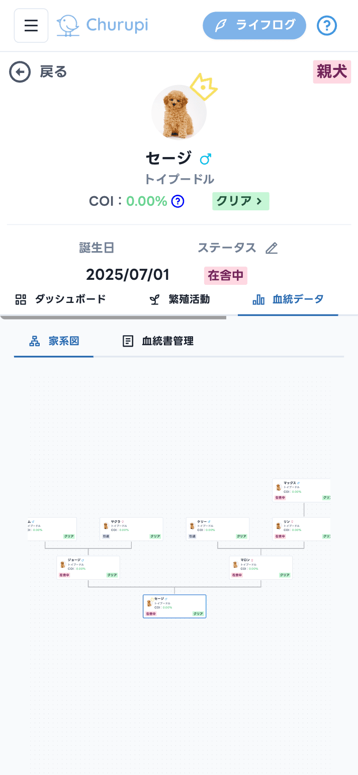 スマホ画面イメージ2